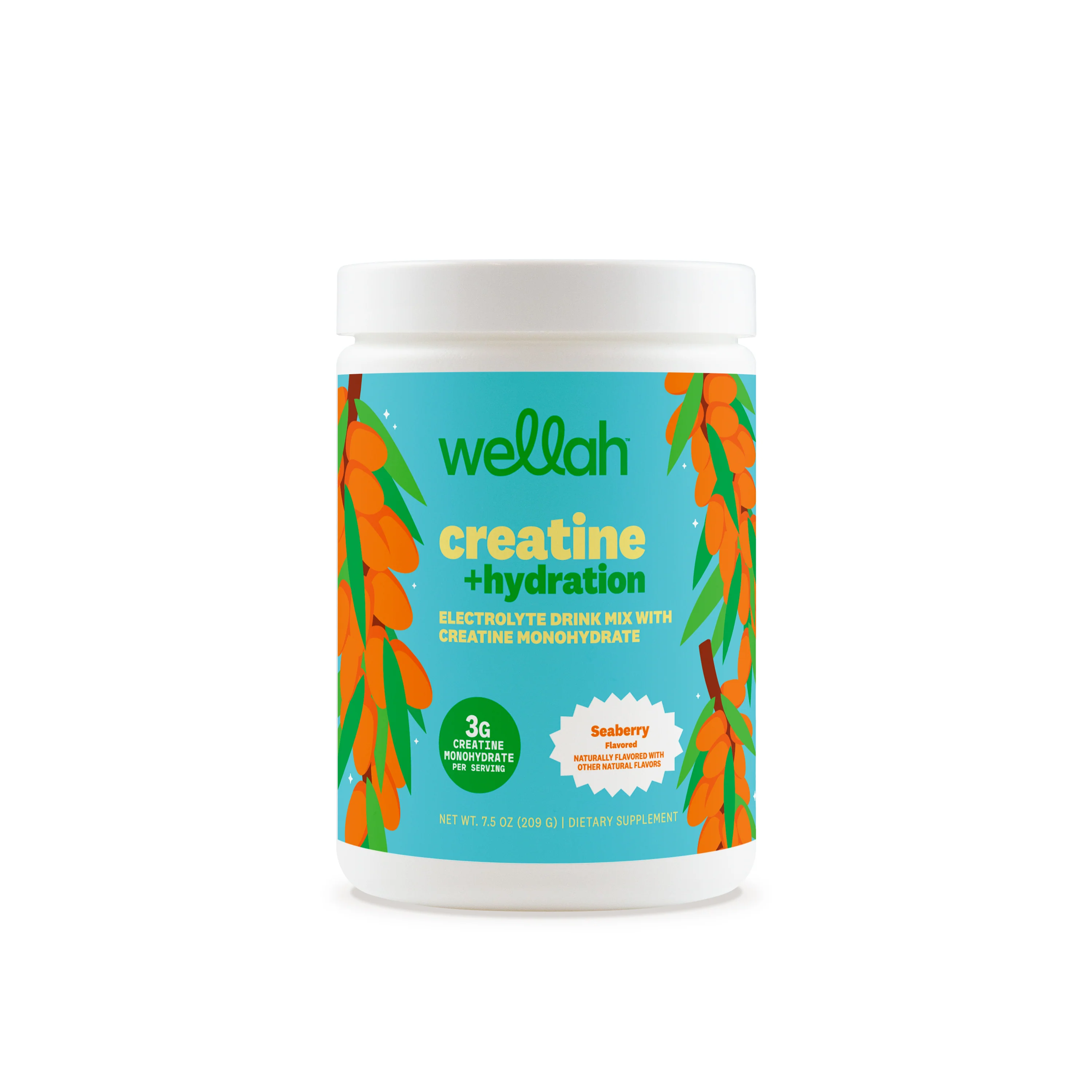 Creatine + Electrolytes | 30 Servings - Image 10