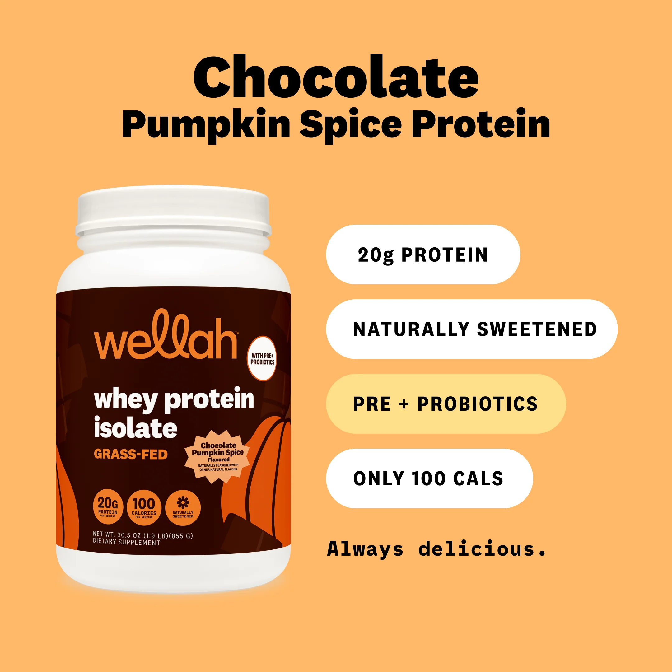 Grass-Fed Whey Protein + Pre & Probiotics | 30 Servings - Image 6